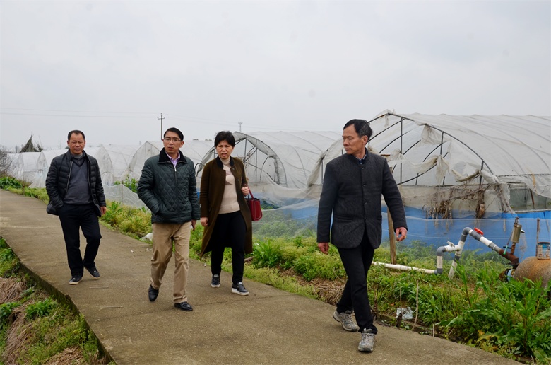 仁和集團(tuán)開展精準(zhǔn)扶貧工作紀(jì)實