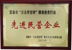 仁和集團(tuán)榮獲宜春市“百企幫百村”精準(zhǔn)扶貧行動(dòng)先進(jìn)民營(yíng)企業(yè)稱號(hào)