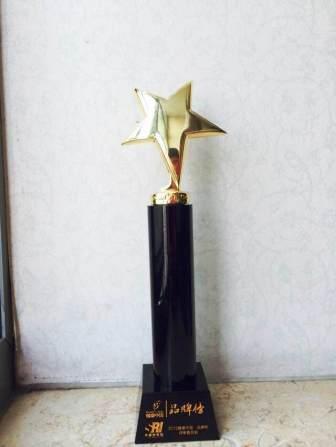 閃亮滴眼液榮登2015“健康中國?品牌榜”價值排行榜 (2).jpg